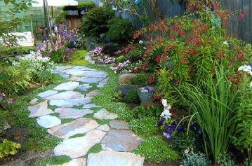 Stepping Stone Path